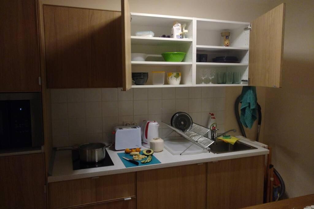 Marvelous Apartment In The Center Of 布拉格 外观 照片