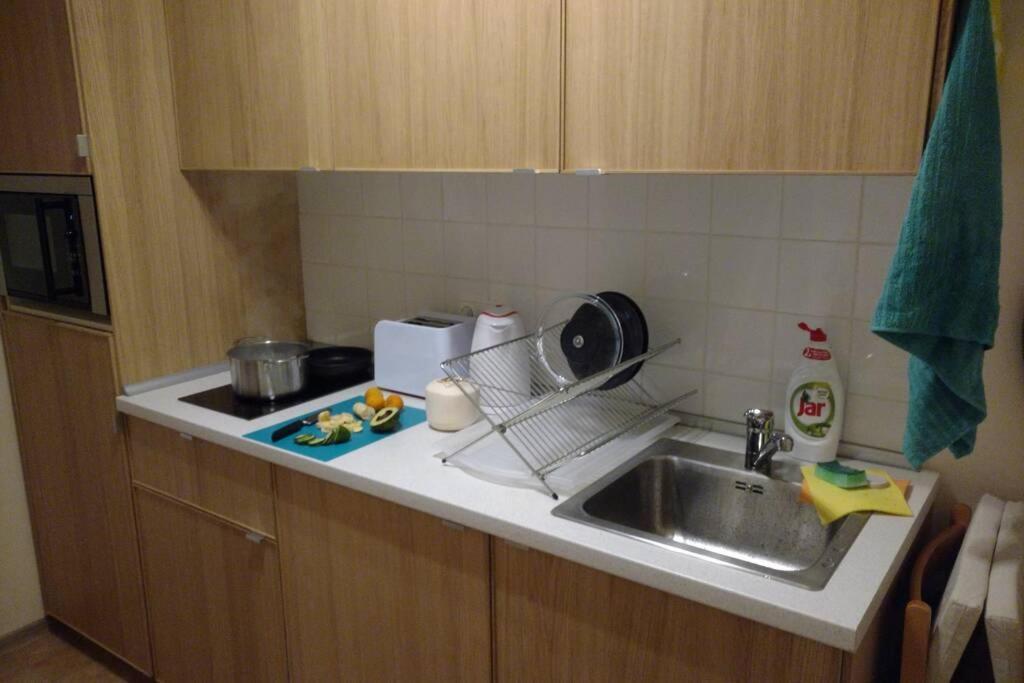 Marvelous Apartment In The Center Of 布拉格 外观 照片